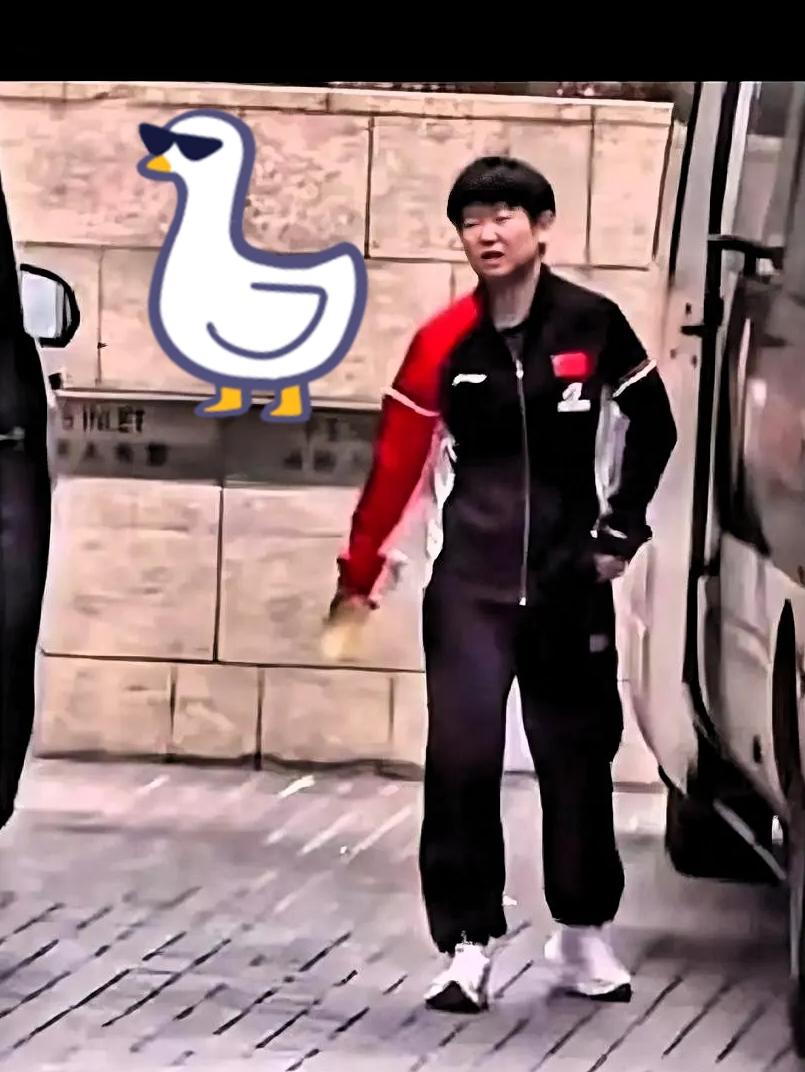 这事儿恐怕没那么简单。莎莎退赛，绝不只是脚疼。下午看她走路都一瘸一拐的了，上