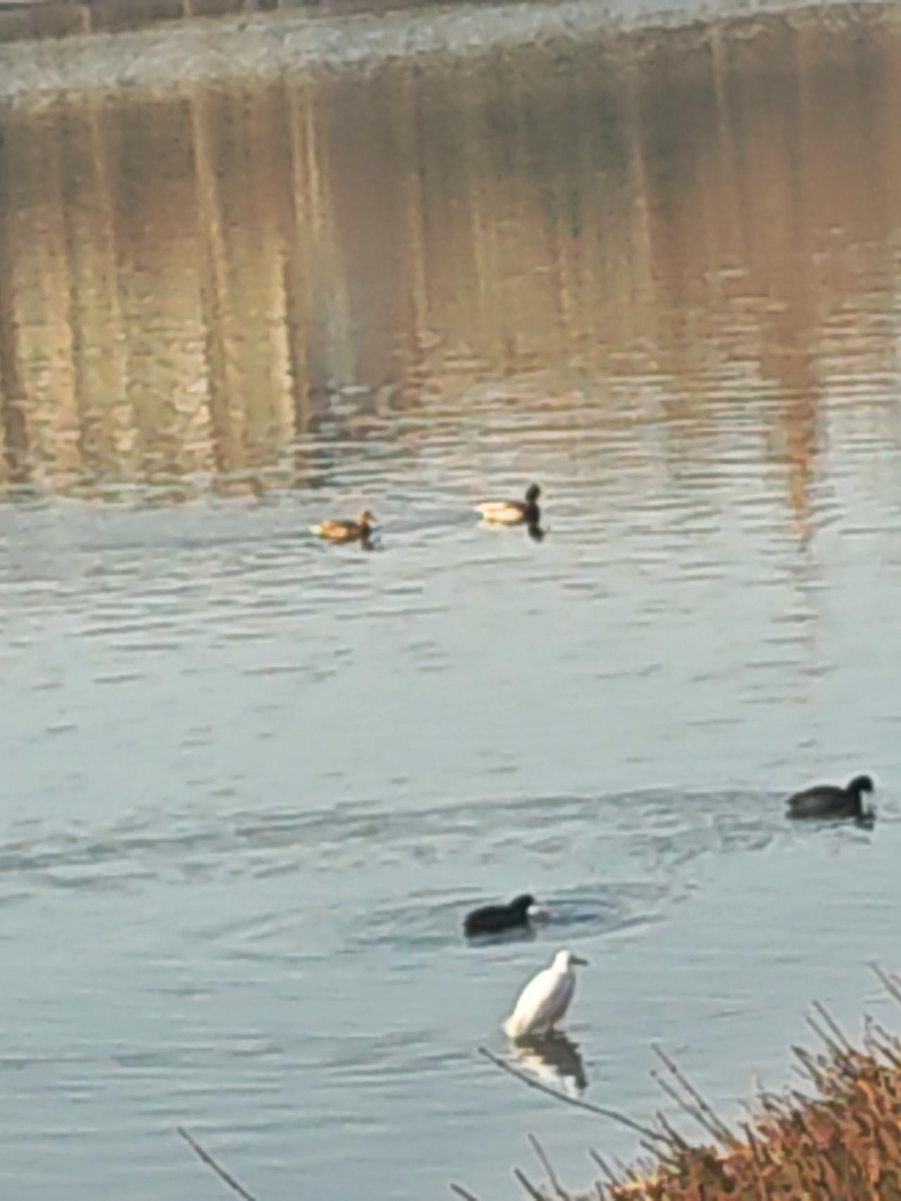 过度操心的危害你不要过度的去操心家里的每一个人，每个人都有自己要走的