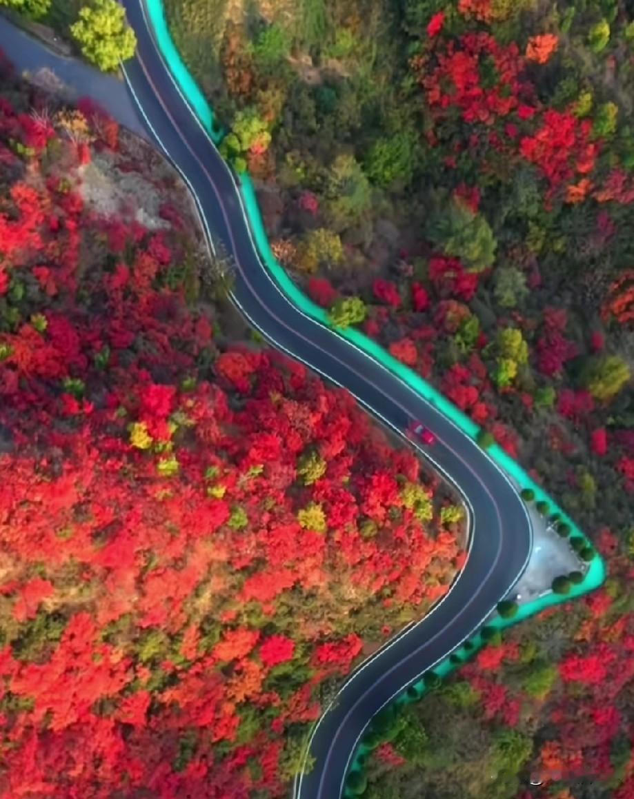 胃癌后的生活让我加快了快乐的脚步……其实很多人不明白得了癌症，还快乐什