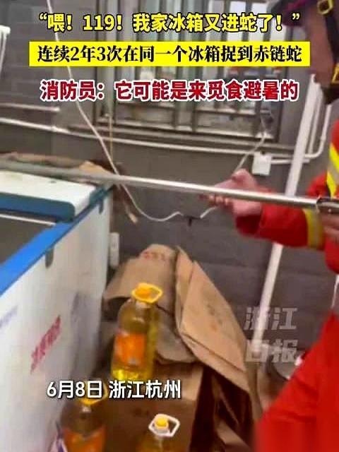6月8日中午，杭州塘栖消防员接到报警，冰箱里有蛇。谁知道，一到现场，大家脸都绿了