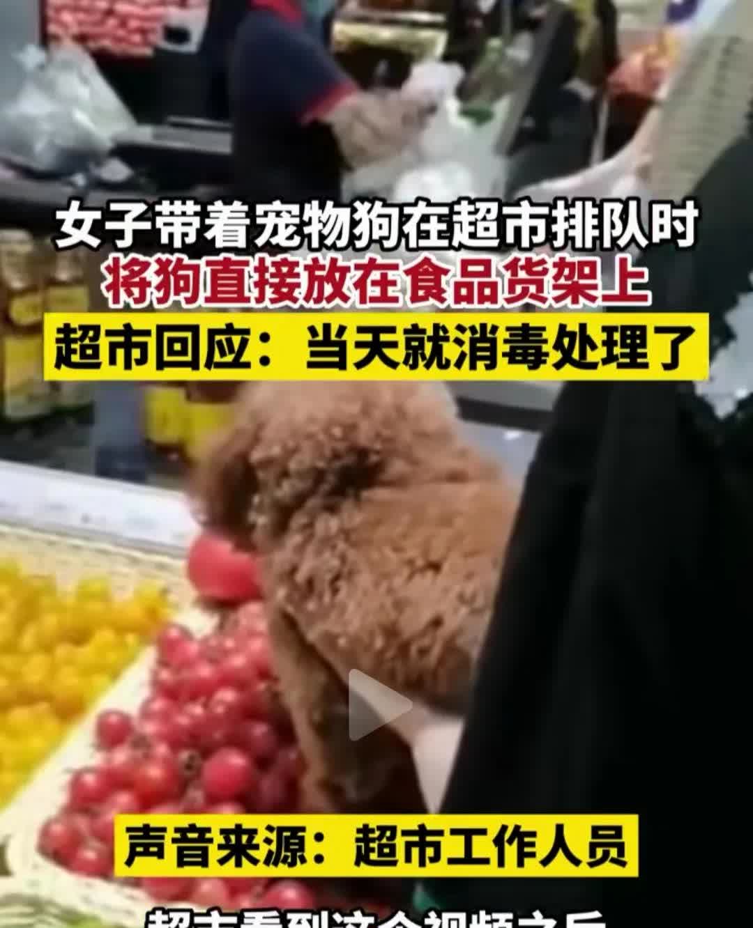 为什么不能带狗进超市？这就是原因。一女子携带自己的宠物逛超市，在排队等待的过