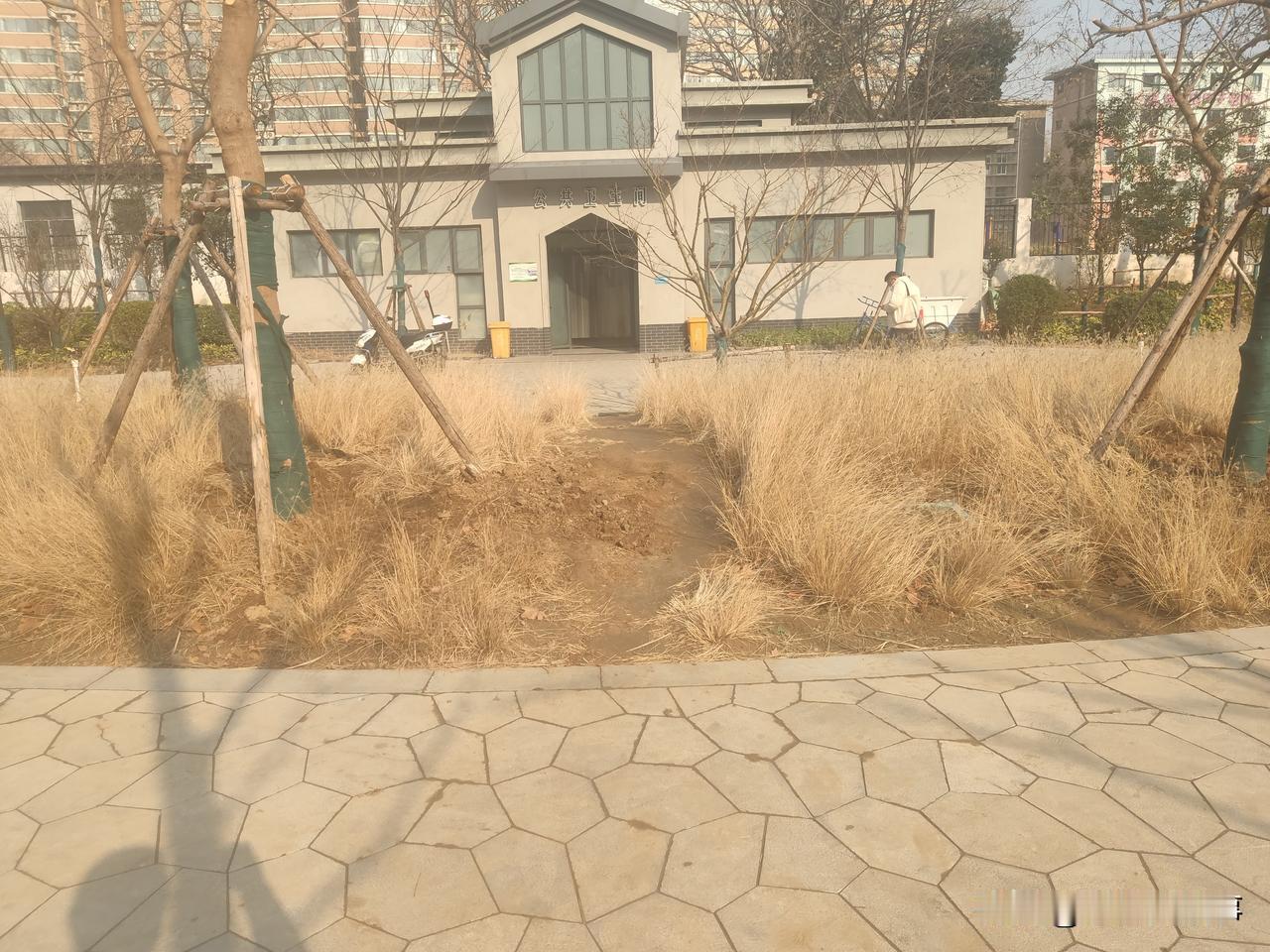 郑州市人民公园随手拍:地上本没有路，走的人多了便形成了路！[捂脸哭]是当初设计有缺