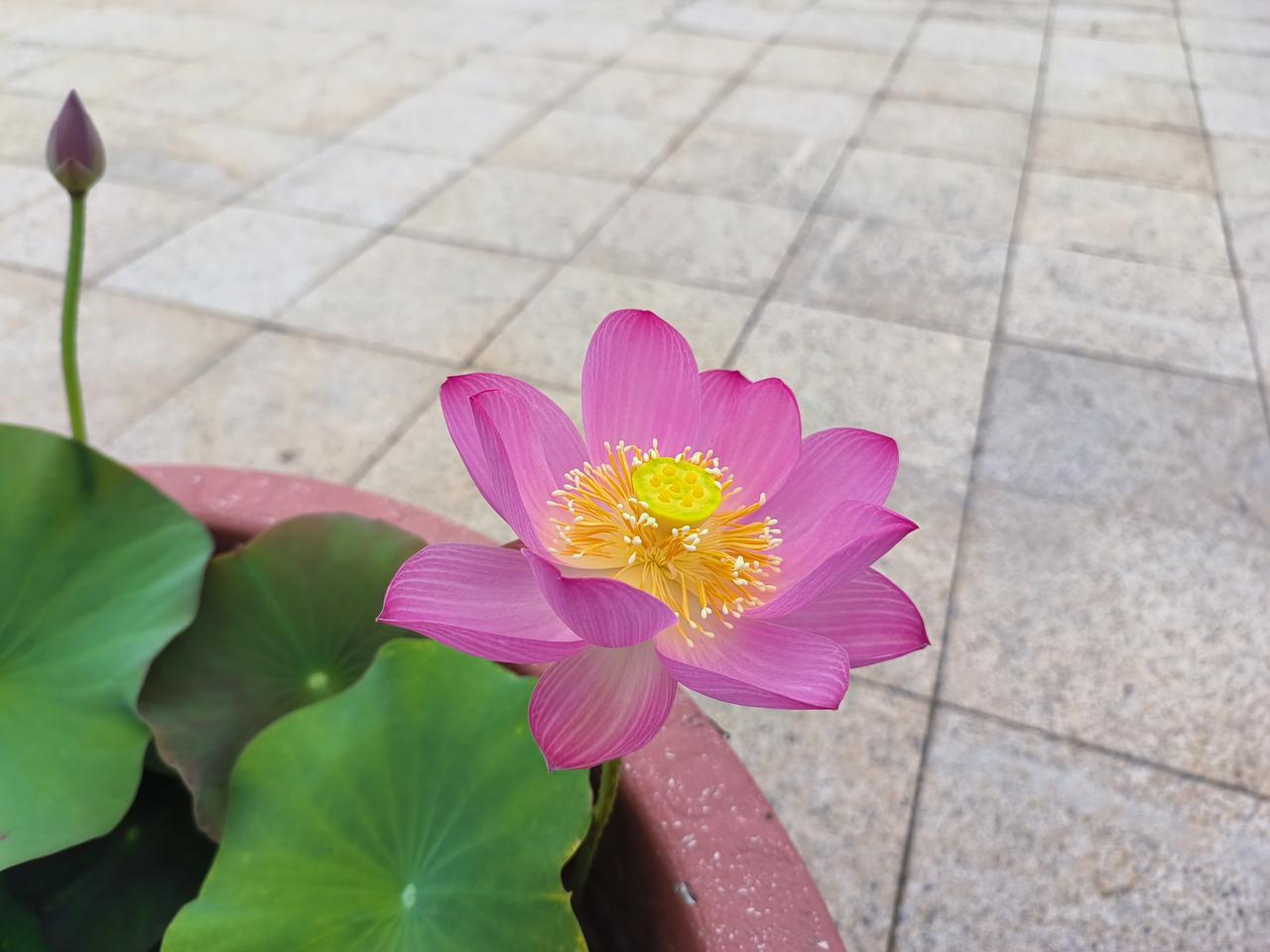 你和领导掰腕子，领导和你甩脸子。老王谈到了他的一位好友，很有本事，可是多年没