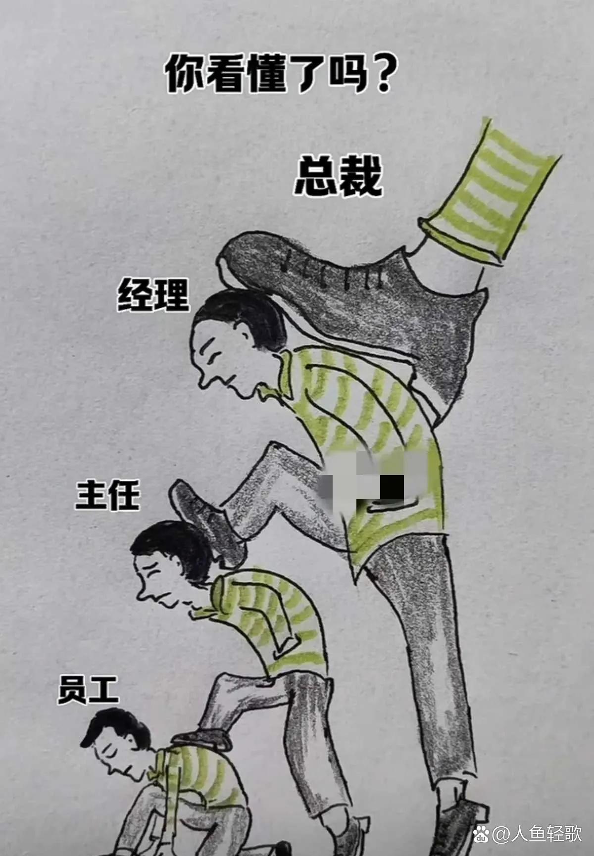 目前各公司的基本现状