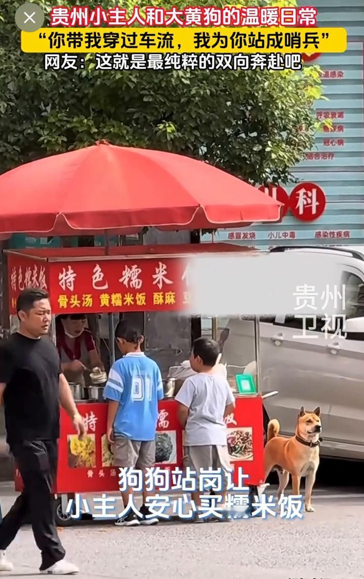 贵州小主人和大黄狗的温暖日常。"你带我穿过车流，我为你站成哨兵"。网友：这就是