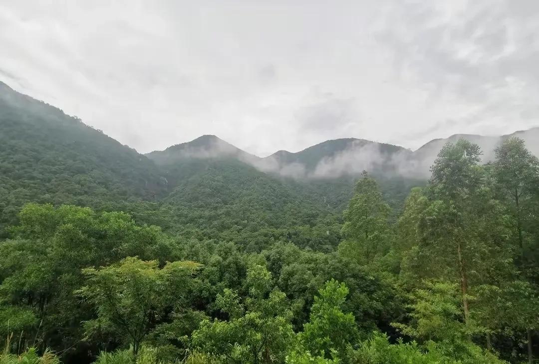天下无不散之宴席，我们遇到的每个人都是过客，我们一个人来到这个世界，还得一个人离