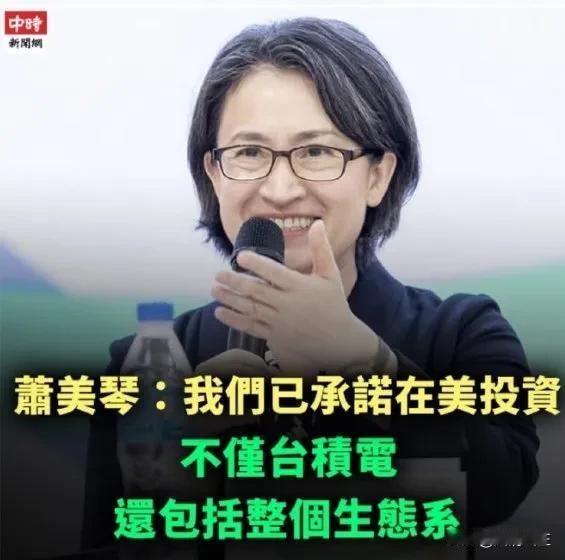 萧美琴火了，火的一塌糊涂作为台当局的副领导人，萧美琴当着全世界的面做出承诺，