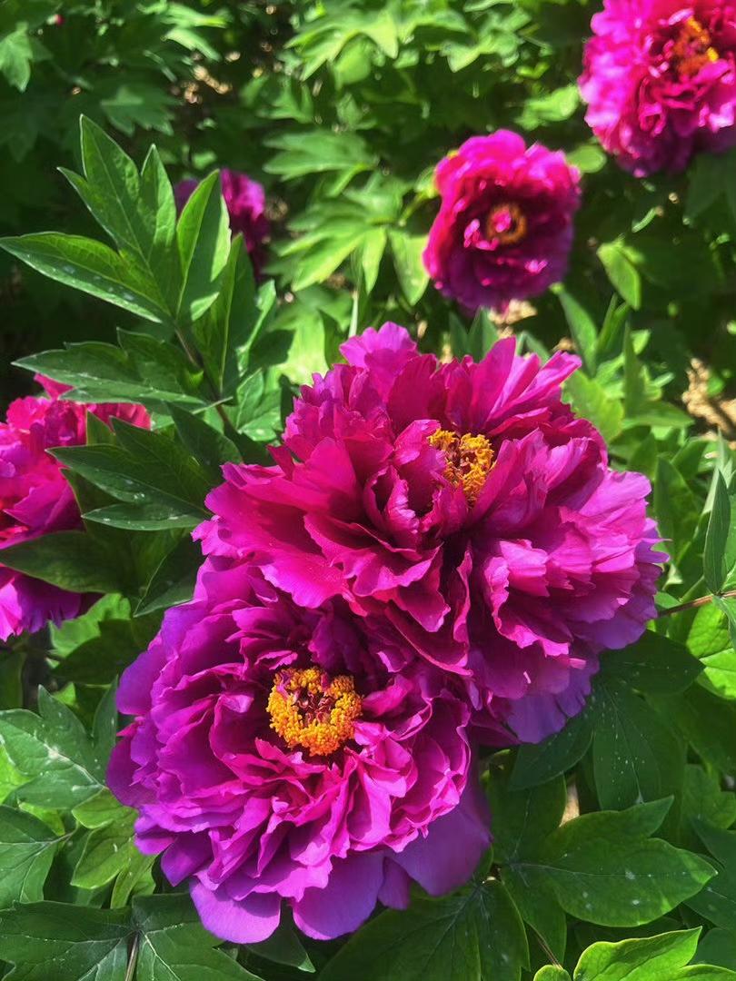 弘一法师说：“如果实在放不下一个人，那就多去纠缠他几次，多卑微几次。看看他讨