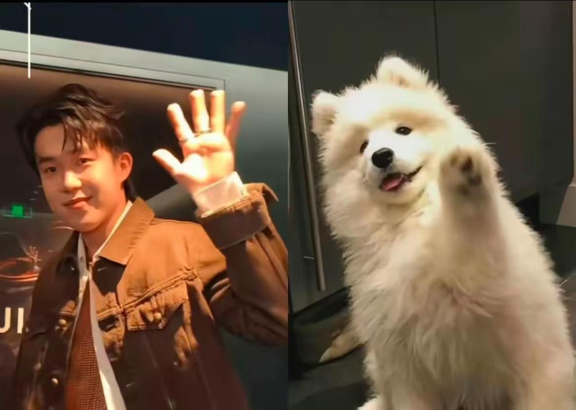 头头这次美拉德风穿搭，直接把运动员商务活动的颜值门槛拉爆了！莎莎一句“着装时尚