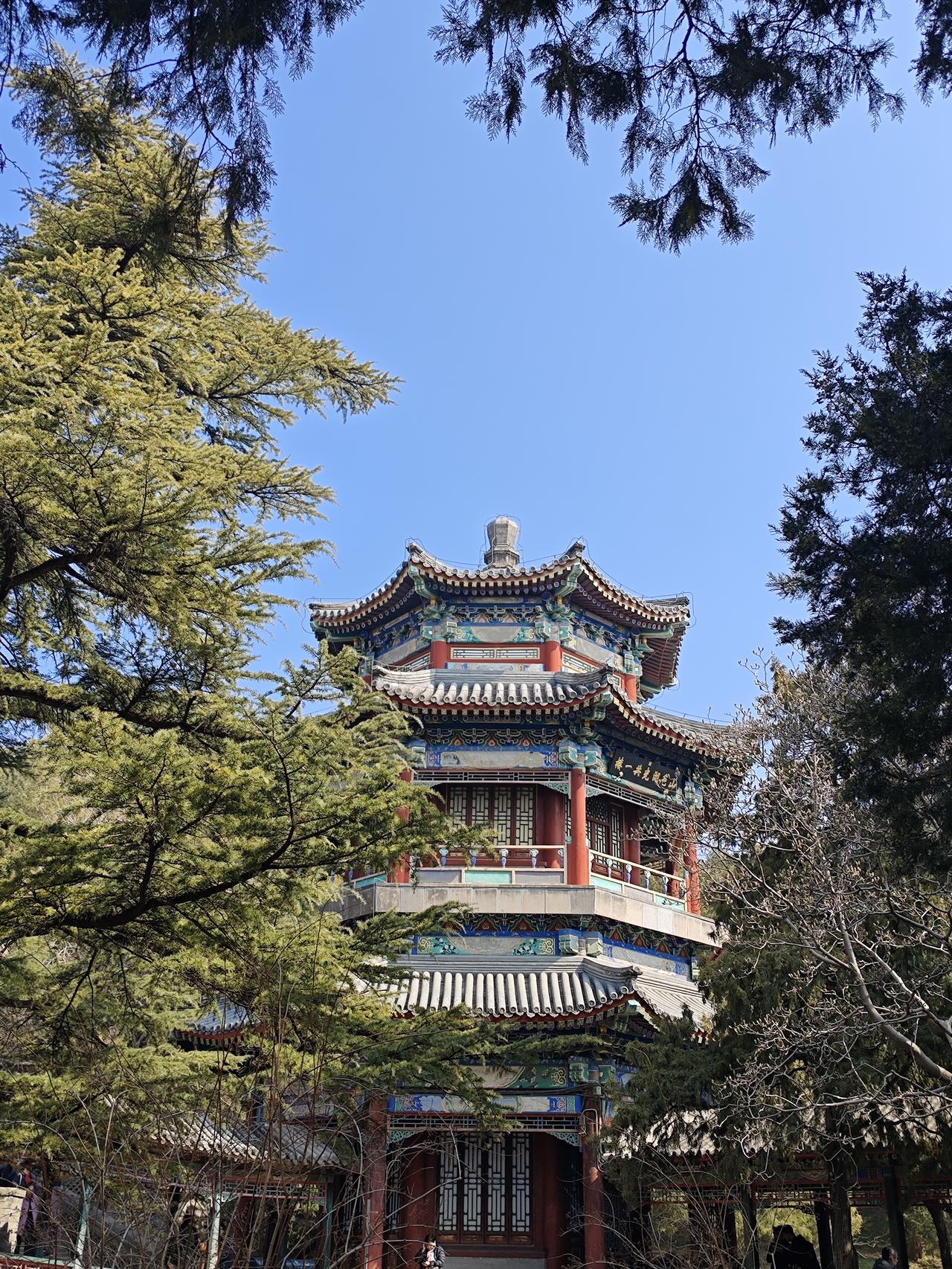 归家小记和老公在外旅居一个月，今天终于踏踏实实地回到了自己家。这趟去