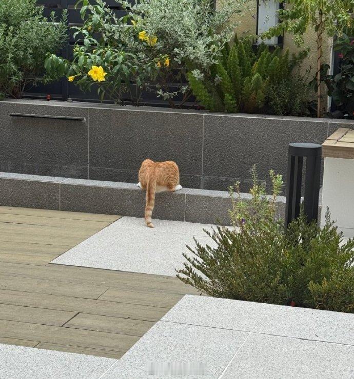 “推它下去，让它知道人心险恶。”