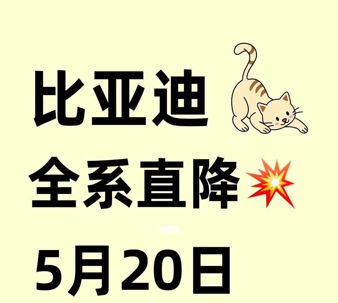 刚开完会，比亚迪政策大调整….不知道你们有没有发现啊广东街头的绿牌车最