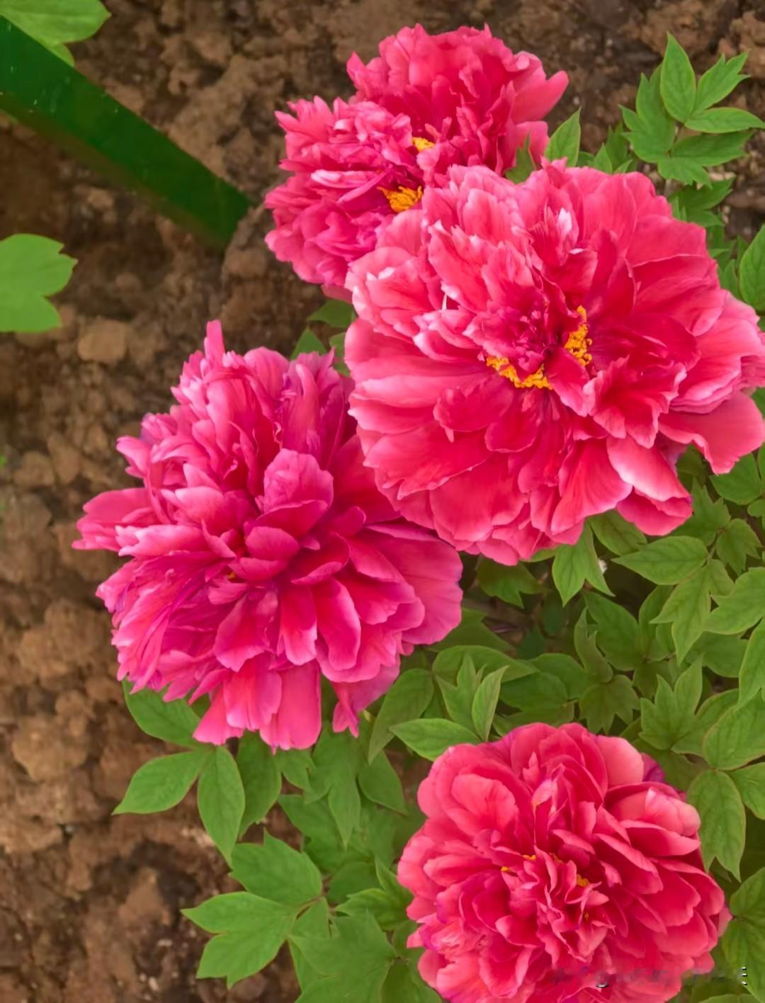 1、努力存钱，30万以下的都叫“余额”2、每个月发工资，强制储存50%。