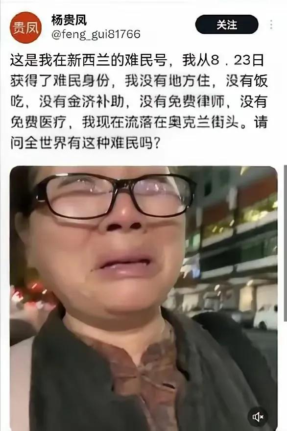 这就是崇洋媚外的后果！放着深圳好好的日子不过，非要把房子卖了去新西兰，以为能当“