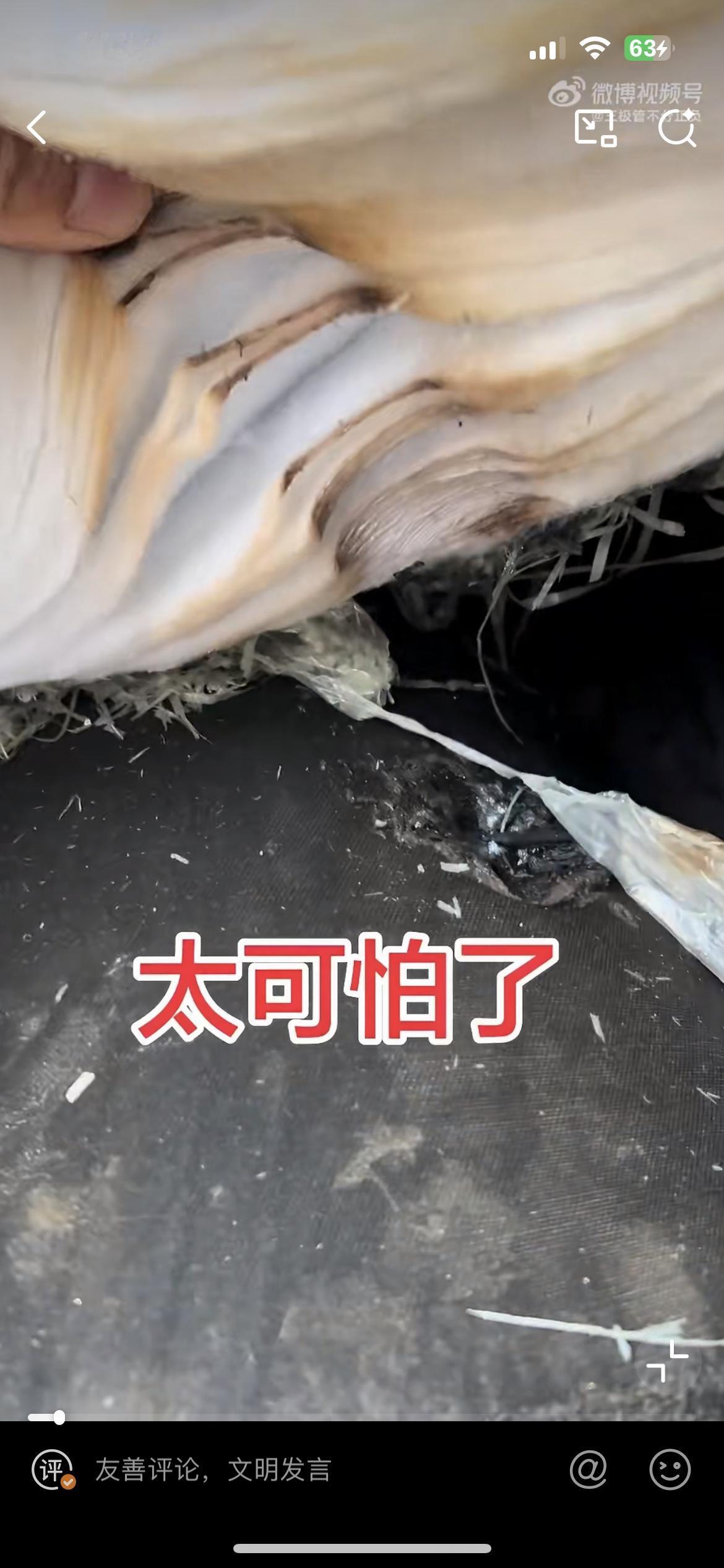 河北一家人堆放在院子的布料凌晨莫名起火。家里的马犬发现后拼命狂叫，试图引起主人的