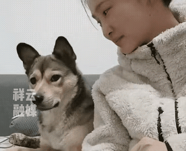 望着陪在身边的狗狗，女主人突然俯身轻咬狗狗的小鼻子。轻微的触痛让狗狗非常难受，