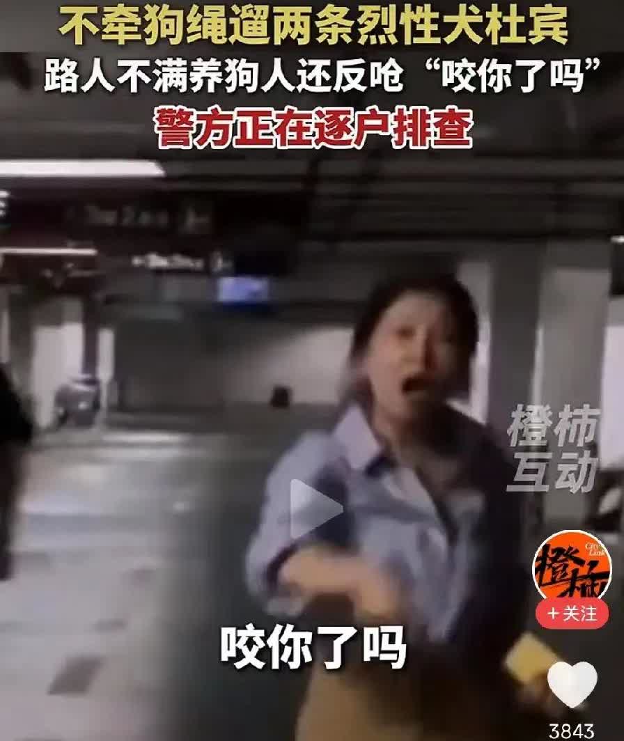 江苏丹阳嚣张狗主人这次肠子要悔青了吧。不是因为狗被骂，也不是因为要罚钱，