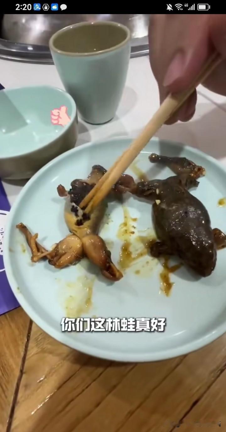 天呐，这林蛙真不敢吃。看着都吓人[笑着哭][笑着哭]德云社的阎鹤祥带着媳妇儿和狗