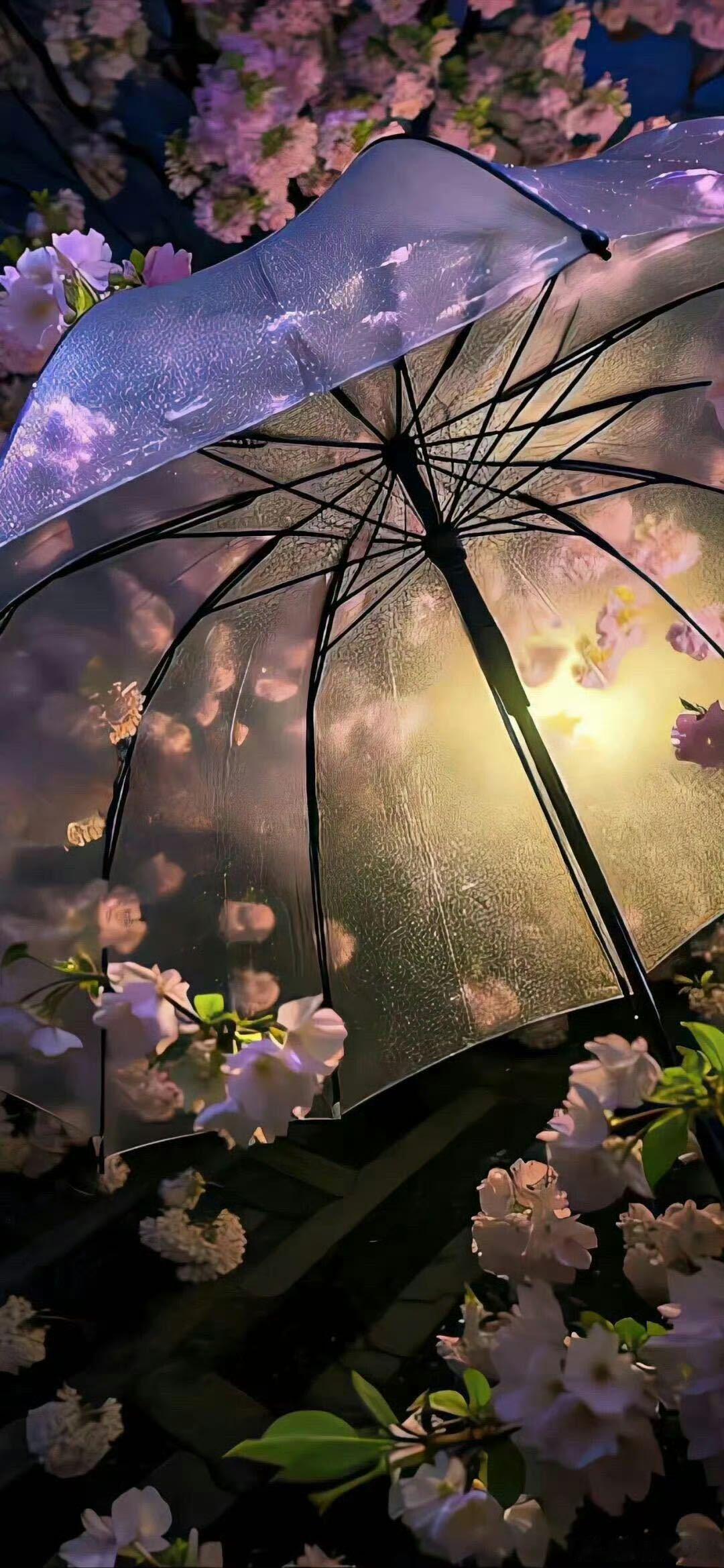 𝐖𝐞𝐂𝐡𝐚𝐭壁纸｜背景图𝐒𝐡𝐚𝐫𝐞背景图｜聊天背景｜手机