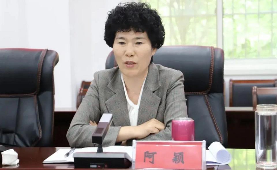 南阳市副市长阿颖是高考移民吗？明确的说，阿颖不是高考移民，而是邓州市人，是在邓