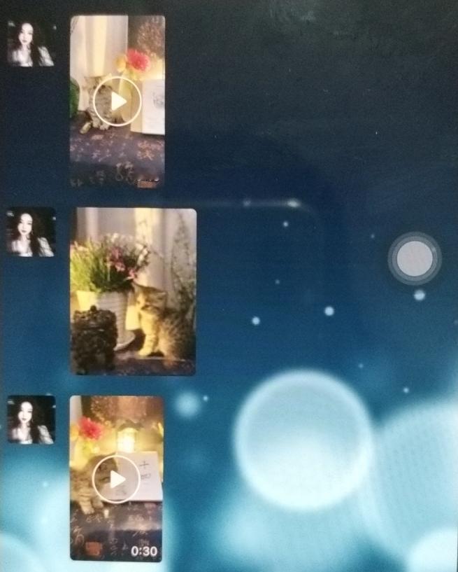什么叫绝世渣猫！从小奶大不让摸不让抱，喊它它不理日常躲着你，你看见它它看见