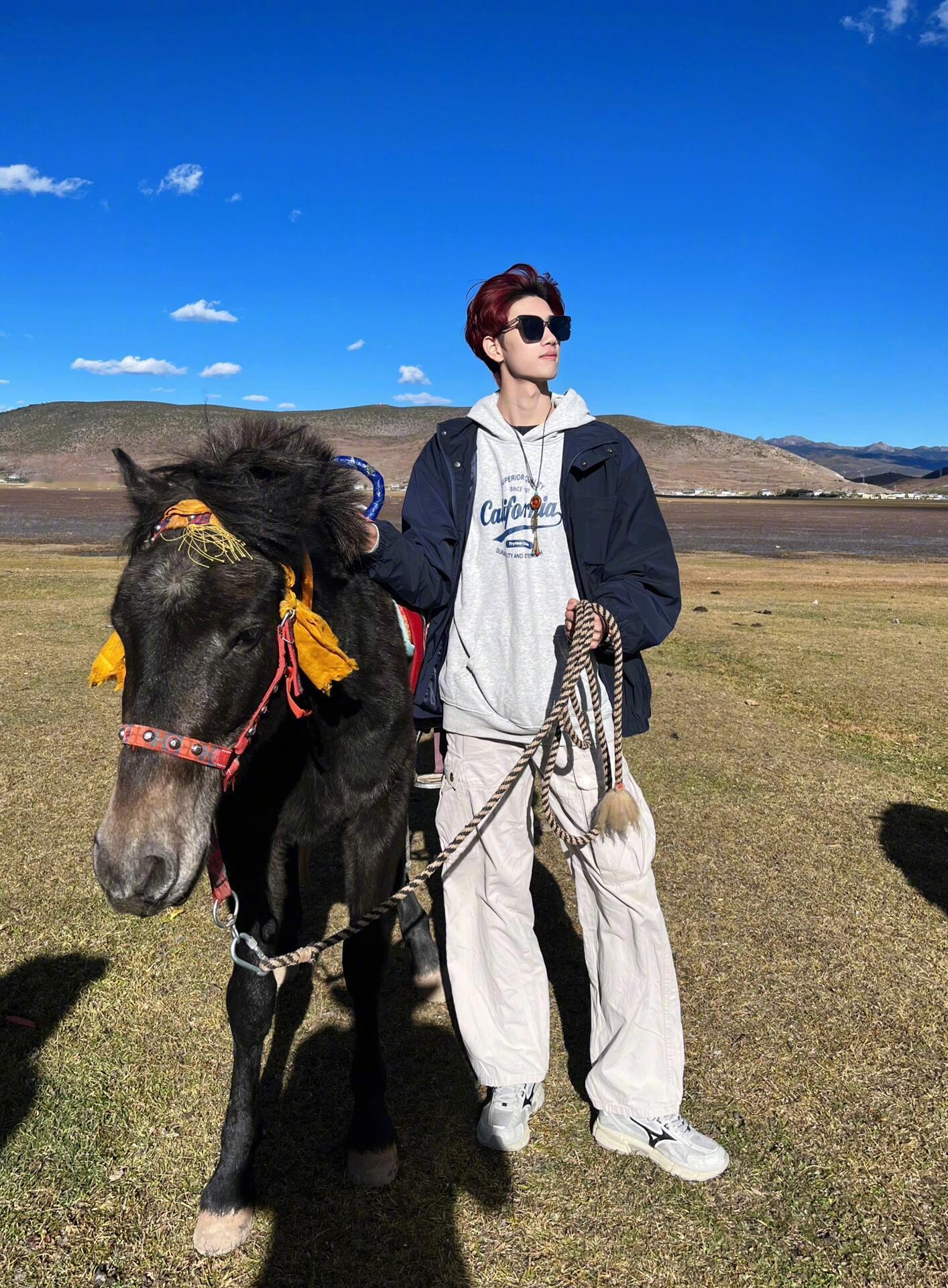 🏔️香格里拉：踏入离天堂最近的秘境✨经幡飘扬，云朵触手可及☁️牛羊悠闲漫步🐃