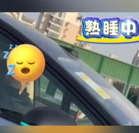 事发上海中环高架！一新能源车主行驶中呼呼大睡，目击者震惊疑惑：这合法吗？1