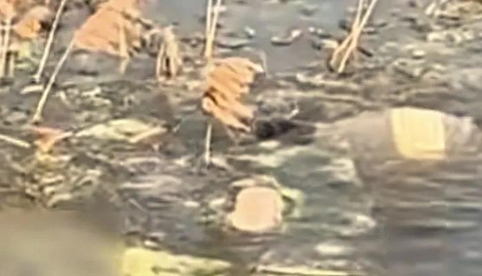 零下3℃冰河！62岁零工跳河摸寻，45岁工友跪地抢回男童“哥！你别沉下去！救