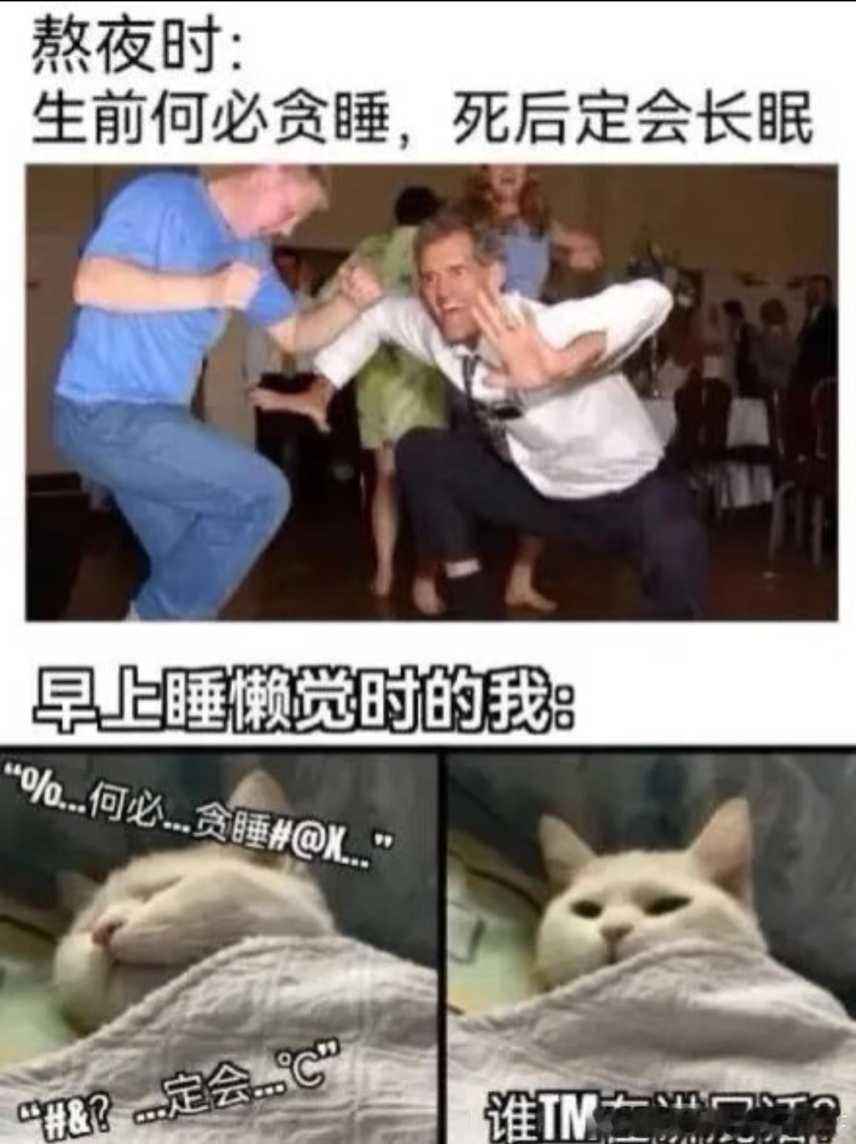 5354哈哈哈哈​​​