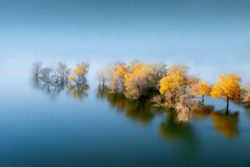 世界上唯一公平的东西，有人说是生命，有人说是自由意志。生命确实公平，无论贫穷富