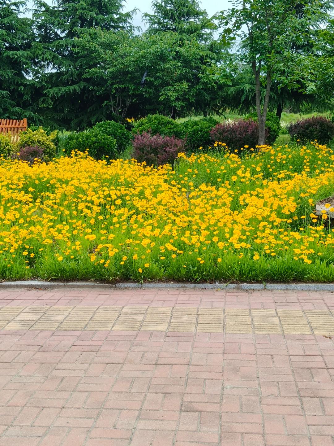 炸鱼闯大祸8月21日下午3时许，临沂沂河新区的某小区发生了爆炸，经调查发现，