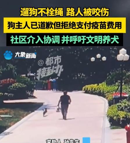 河南郑州，遛狗没拴绳，咬伤一男子，打狂犬疫苗全部费用下来得2000多，狗主人嫌太
