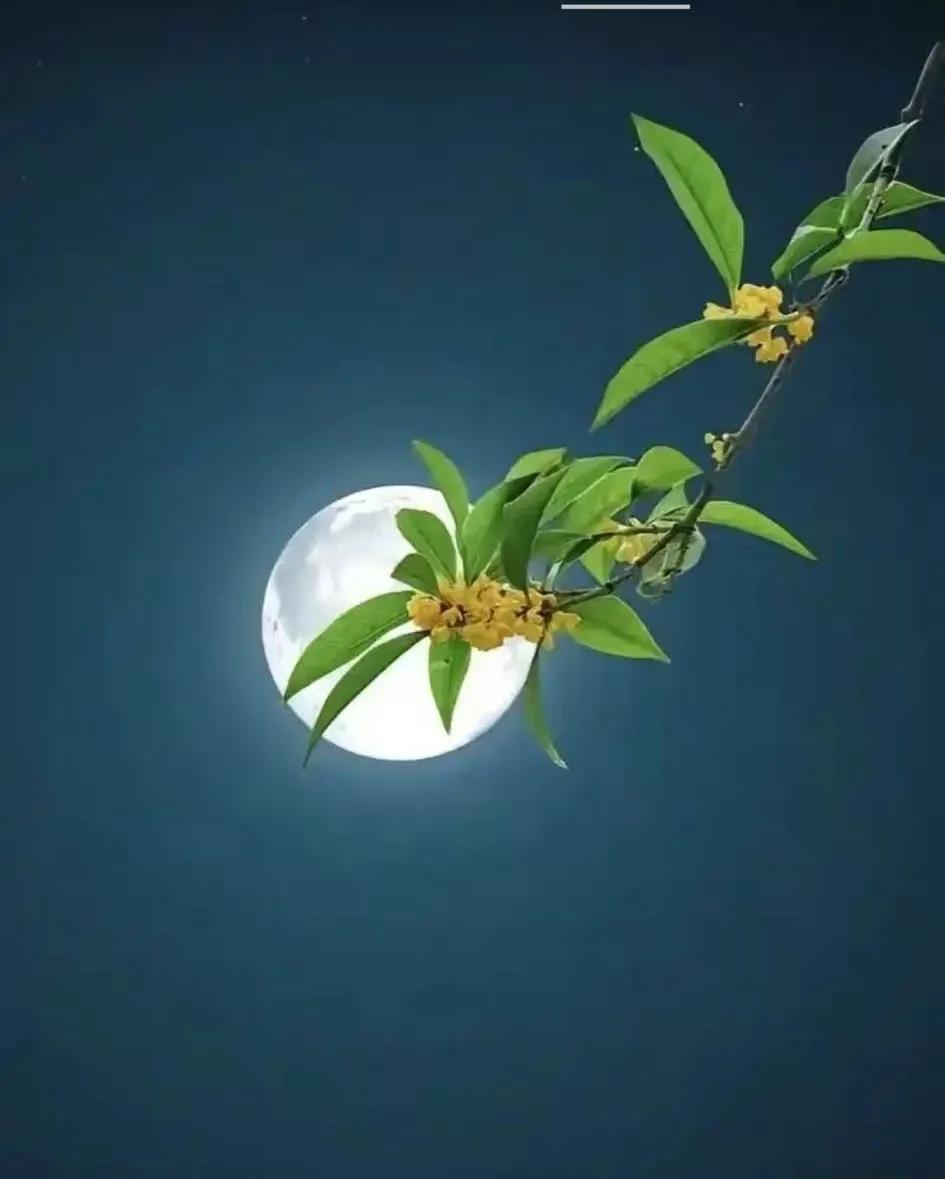 单位一个科长，在未提拔到本单位以前，是一个副县长的跟班人员。他在跟随副县长开展工