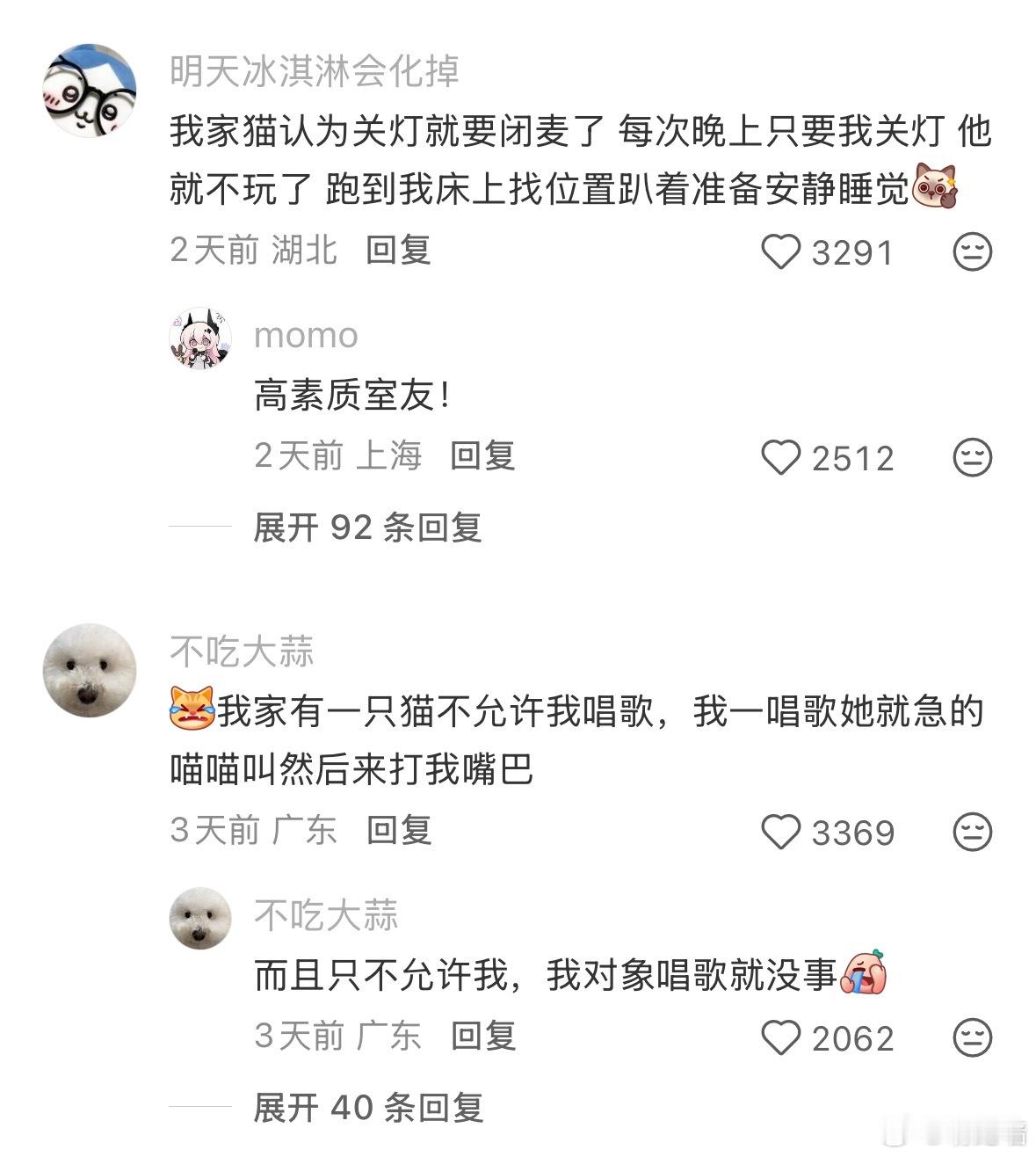 太可爱了！猫猫有自己的规矩要守！