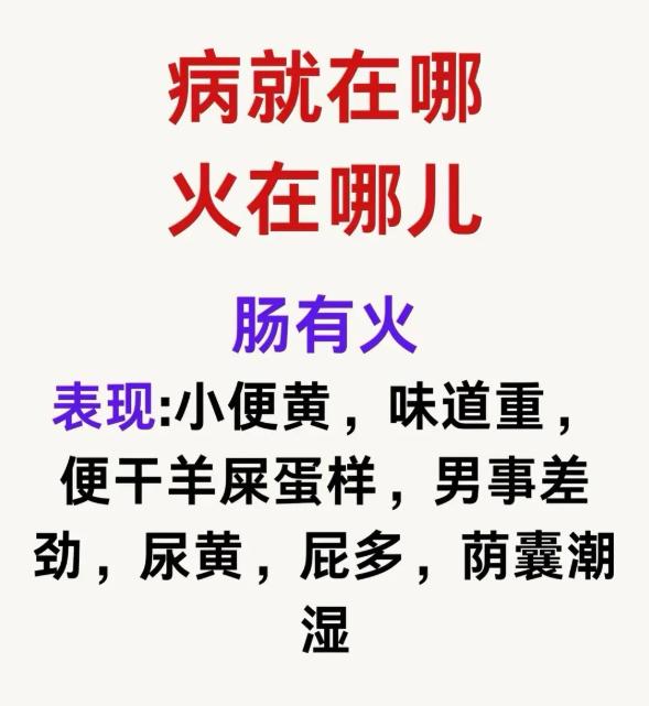 中医辨证：病在哪，火就在哪！身体信号藏着上火根源