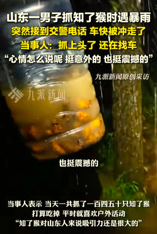 山东一男子，抓知了猴时下起暴雨，他抓得上瘾，把其他事都忘到了脑后。直到接到交警队