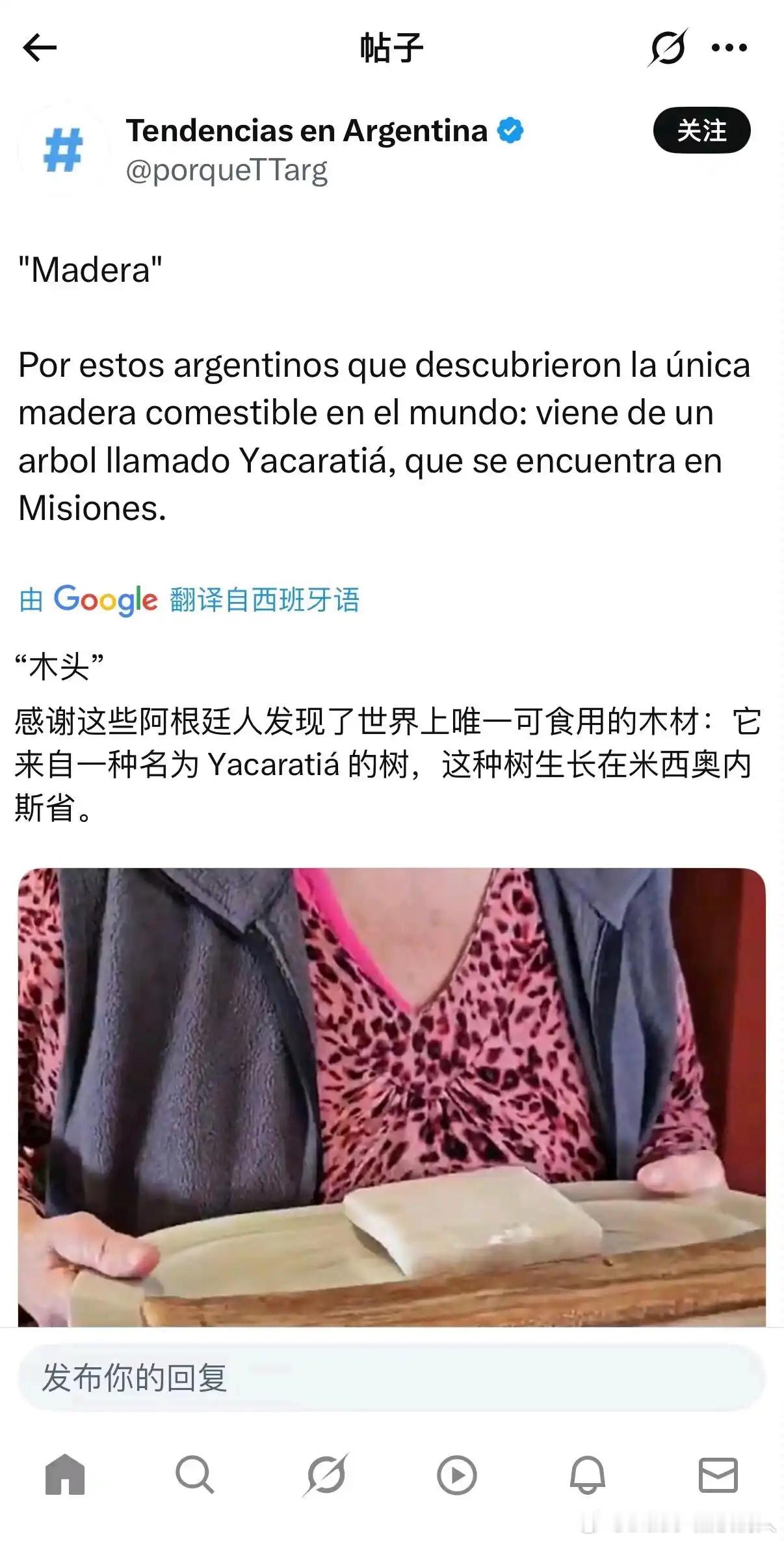 面包树已经退环境了