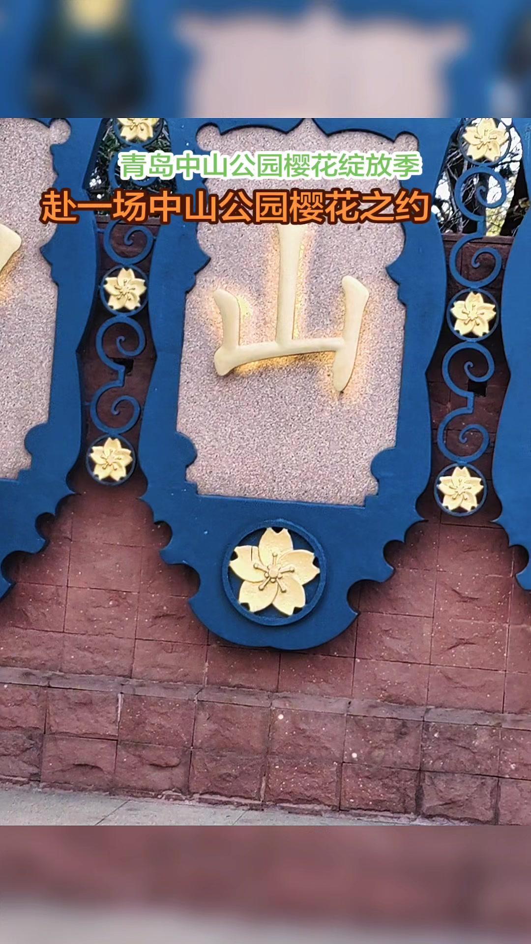 🌸青岛中山公园樱花季太绝了！走进中山公园，就一头栽进樱花的浪漫里～远远望去，樱