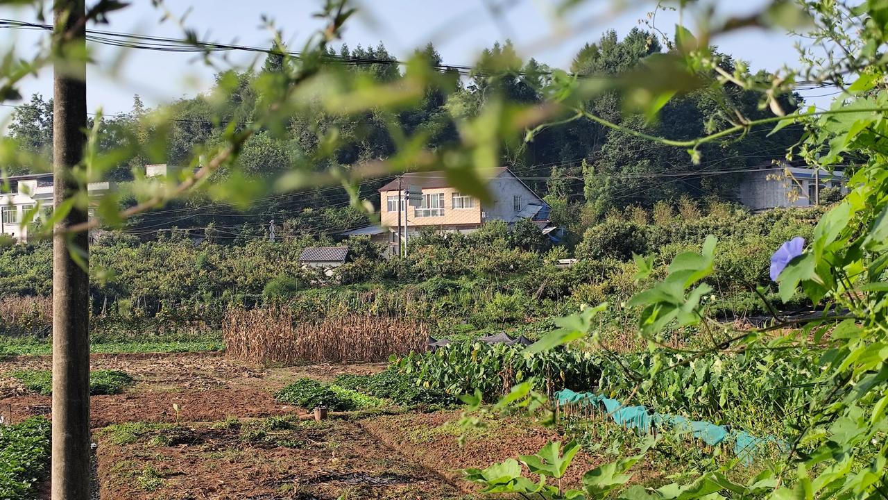 秋日随手拍乡村风景欣赏分享一张自然风景的照片