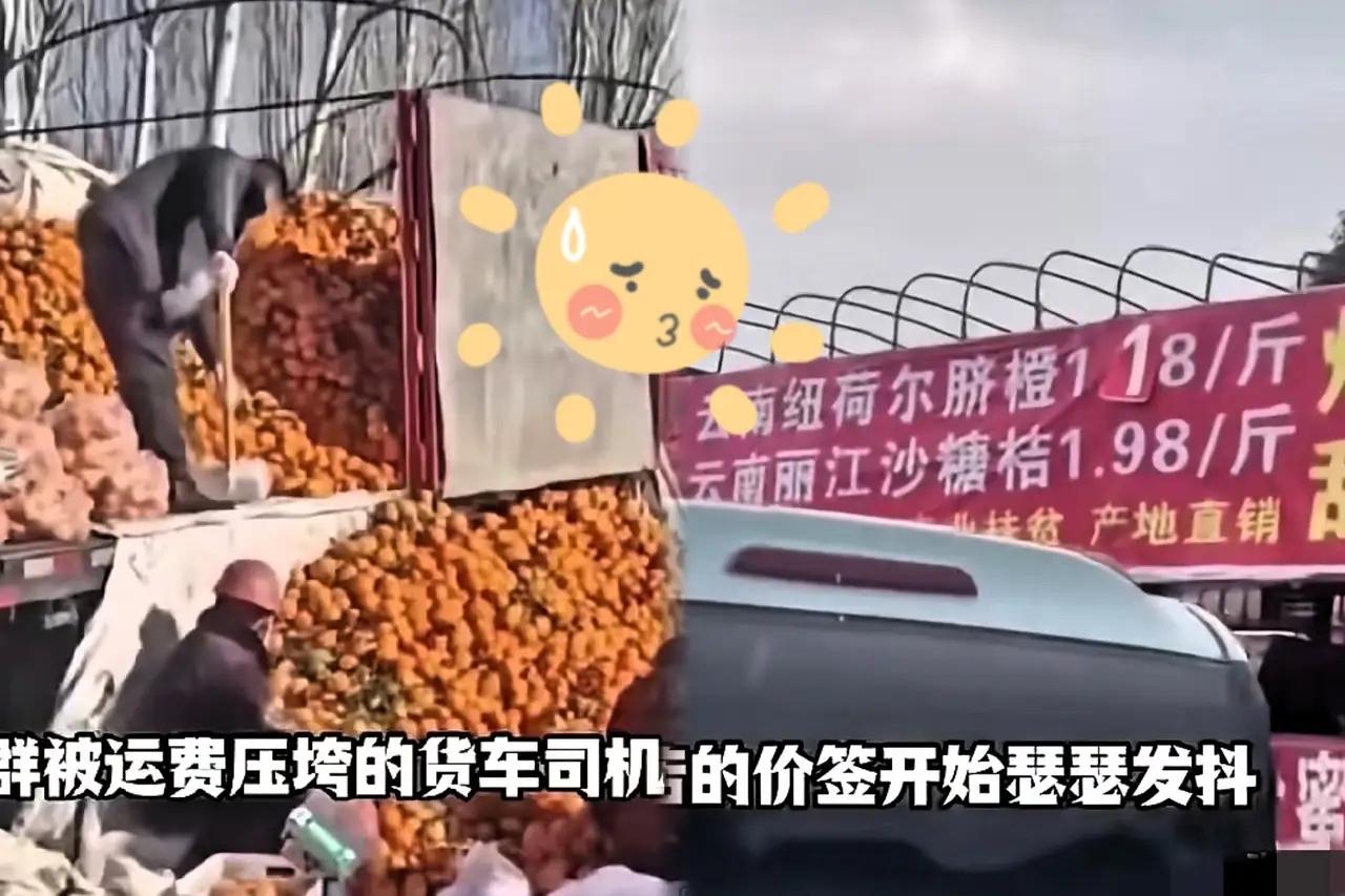 你断我生路，我掀你饭碗！卡车司机集体转型卖水果，这波反杀藏着三重生存智慧