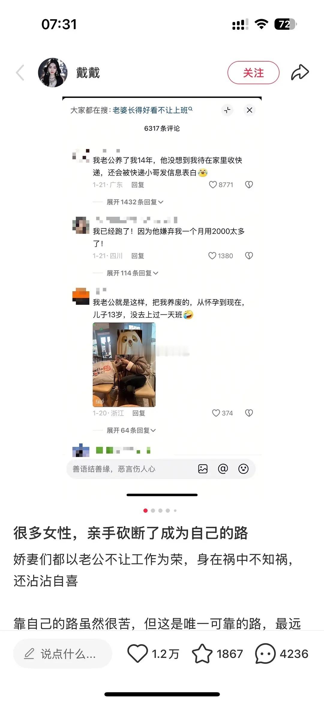 这个被老公养的帖子底下吵翻天了。