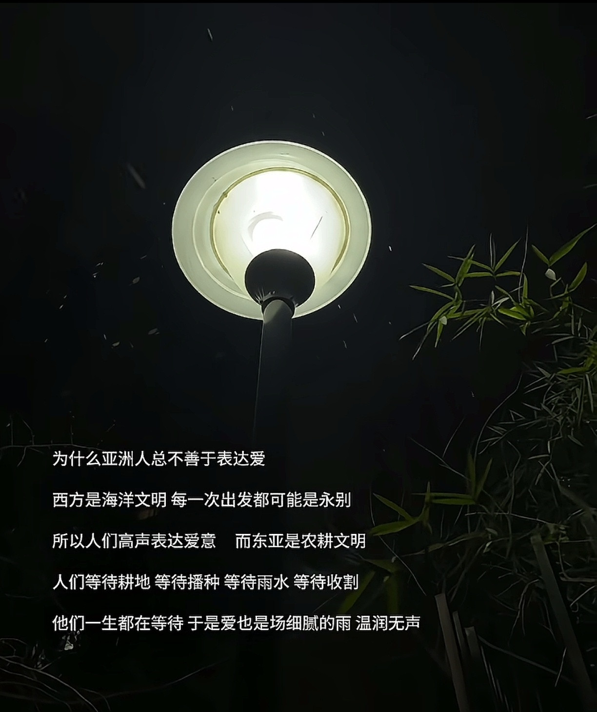 为什么亚洲人总不善于表达爱​​​