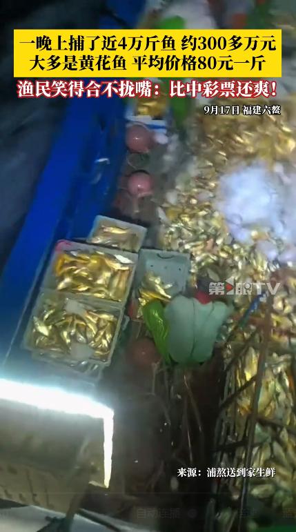 “简直赚翻了！”9月14日，福建漳州，一渔民出海捕鱼，起网时发现船下面有鱼群经过