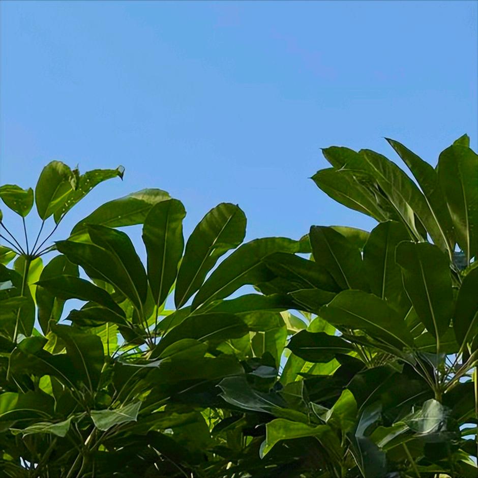 安徽：党纪政务处分1人 12月22日下午5:40，安徽：党纪政务处分1人，为