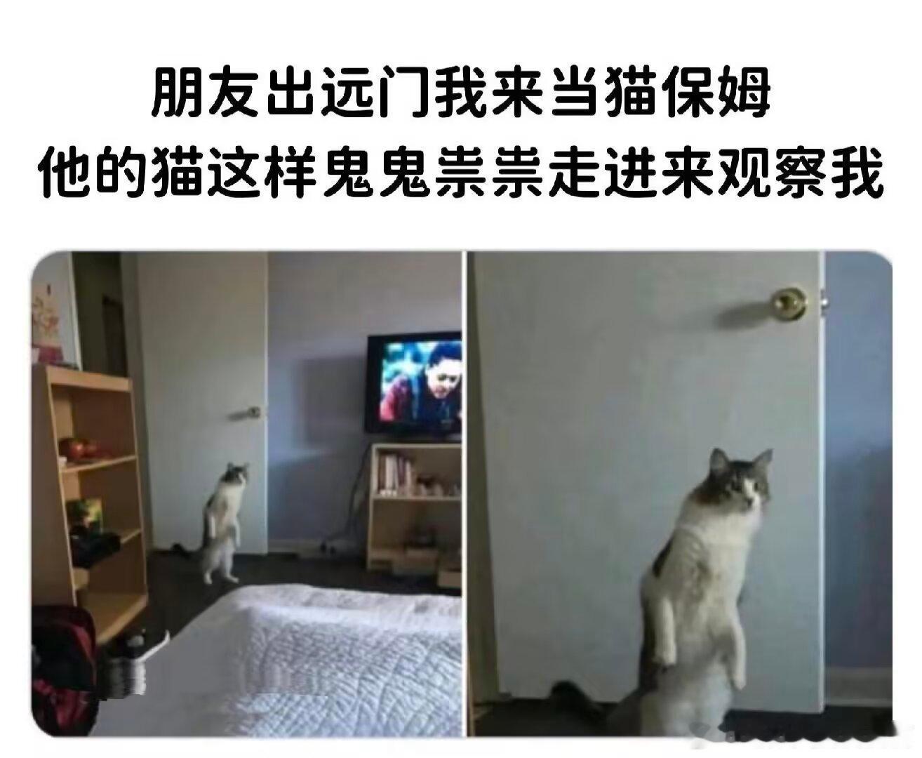 1996你谁啊你怎么在我家咪的天