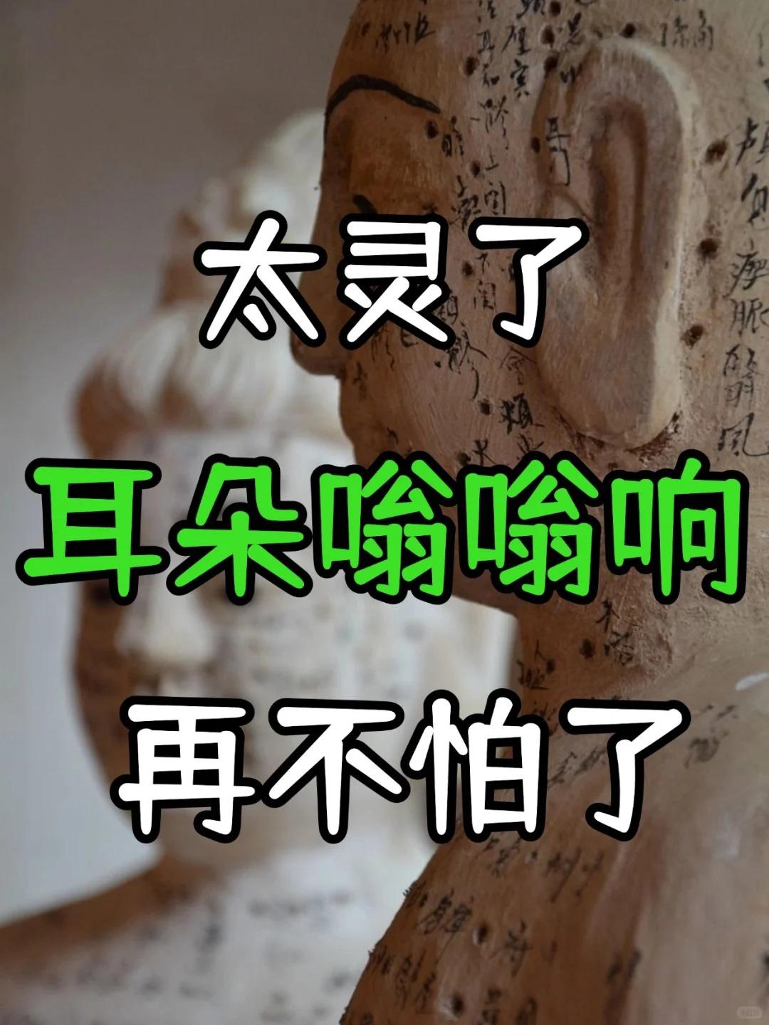 不少人被耳鸣折磨得苦不堪言：耳朵里像是住了只永不停歇的蝉，又或是持续不断的嗡嗡
