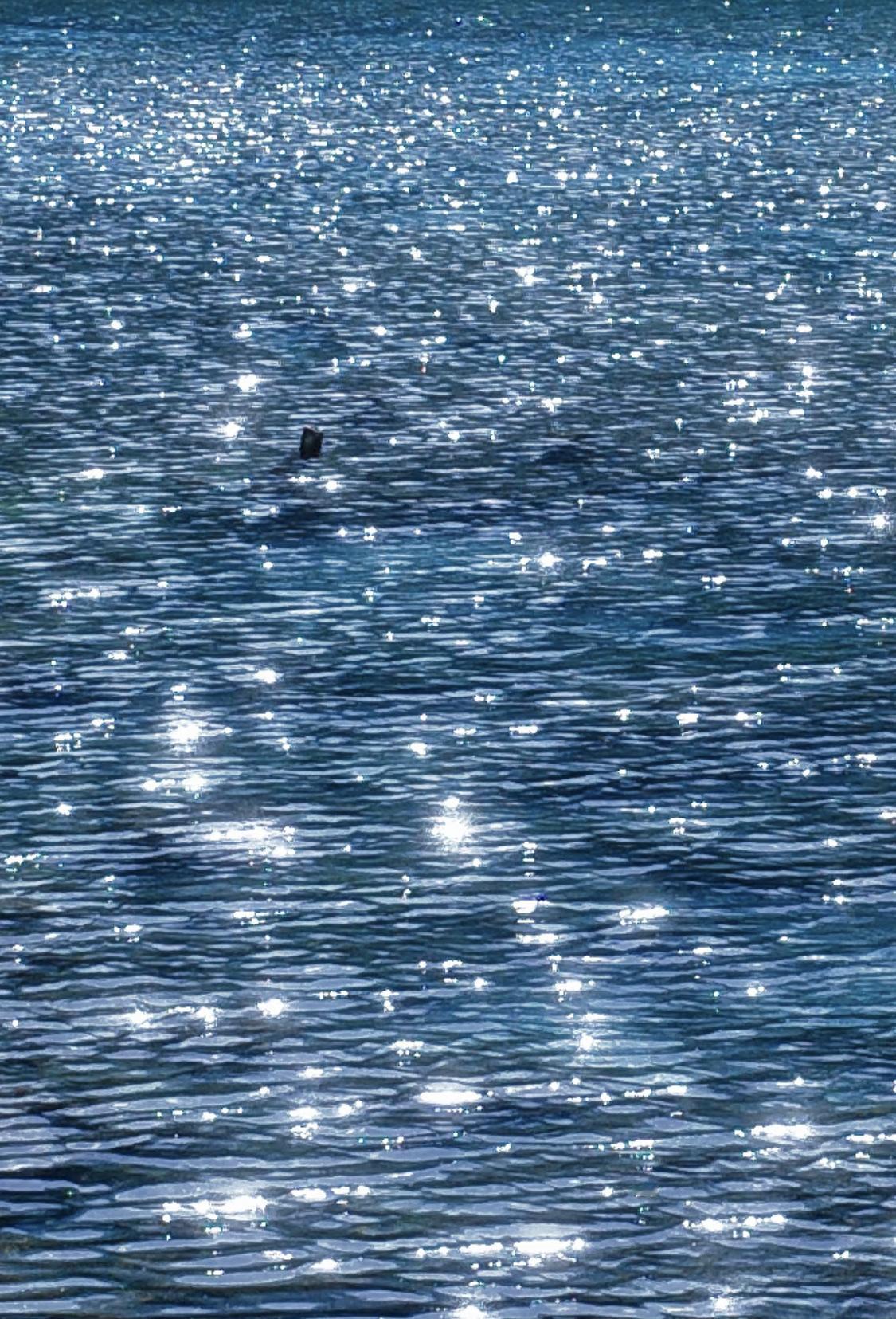 人一定要大量读书！我发现长期读书的人都有一个共性：在喧嚣中活得静默，在庸
