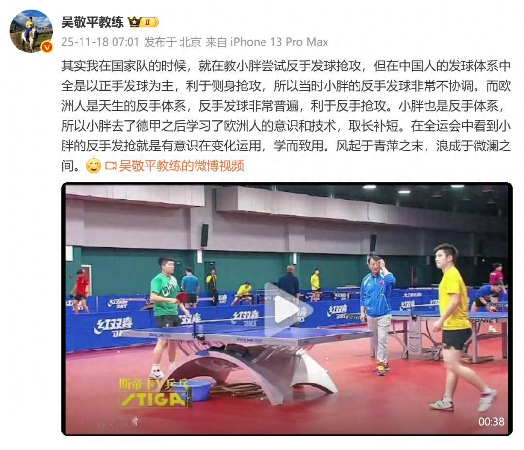 不愧是专业的！樊振东赢下全运会金牌后，他恩师吴敬平点评一针见血，他认为这要归功于