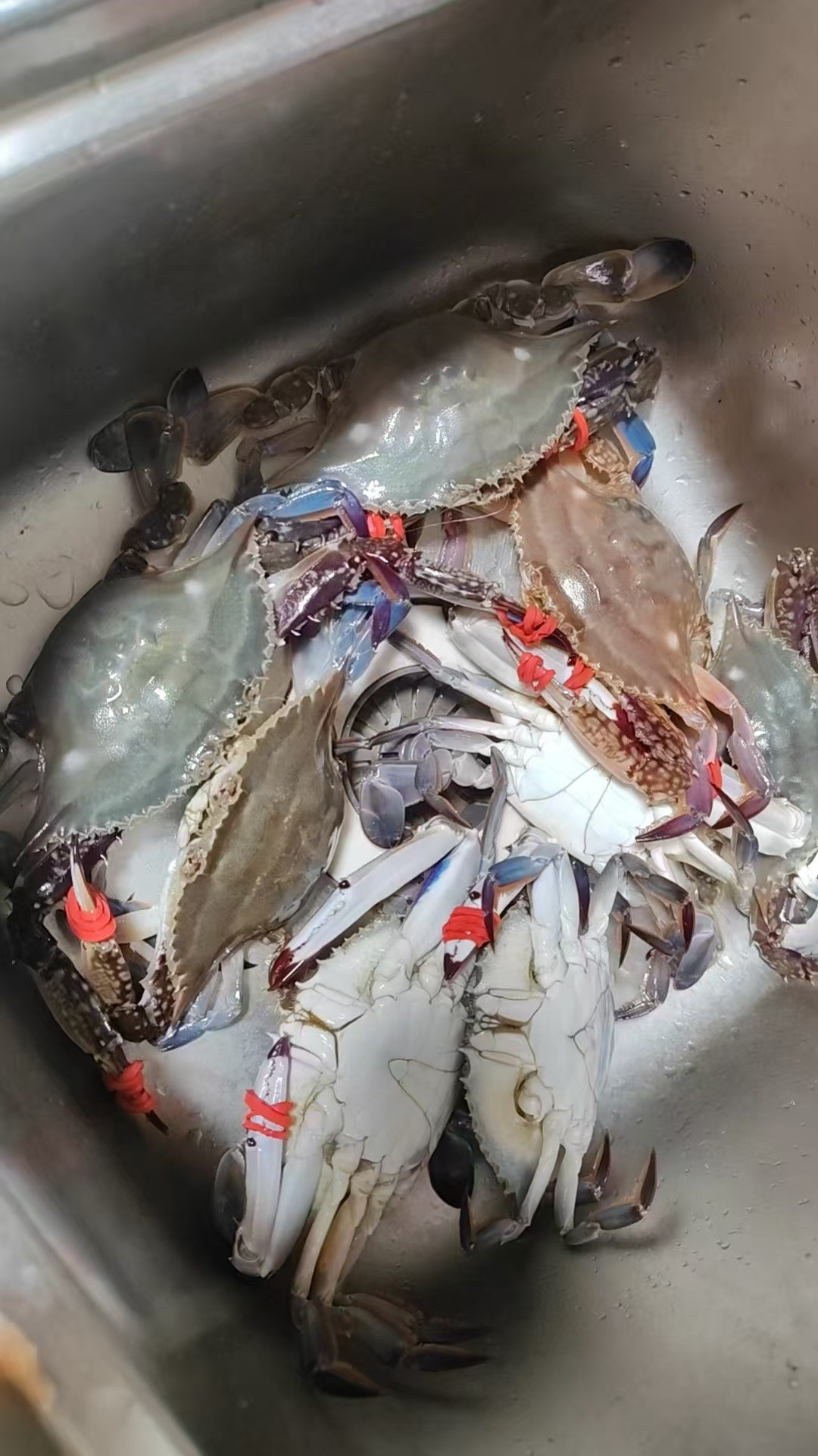 请大家吃个香辣蟹吧冰泪淑芬香辣蟹​​​