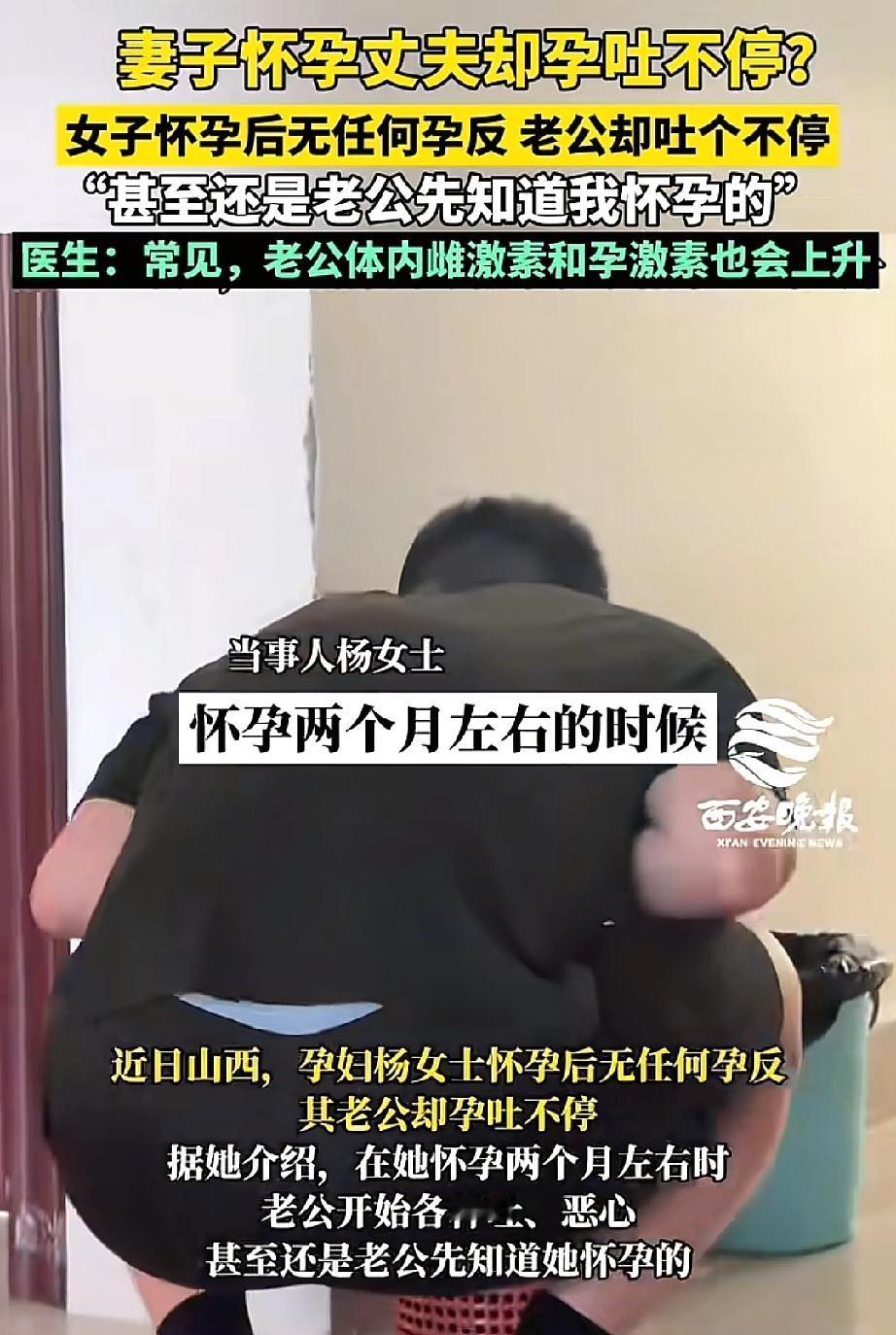 笑喷了！山西，杨女士怀孕后，自己倒是没多大反应，反倒是她老公开始每天恶心呕吐，吃